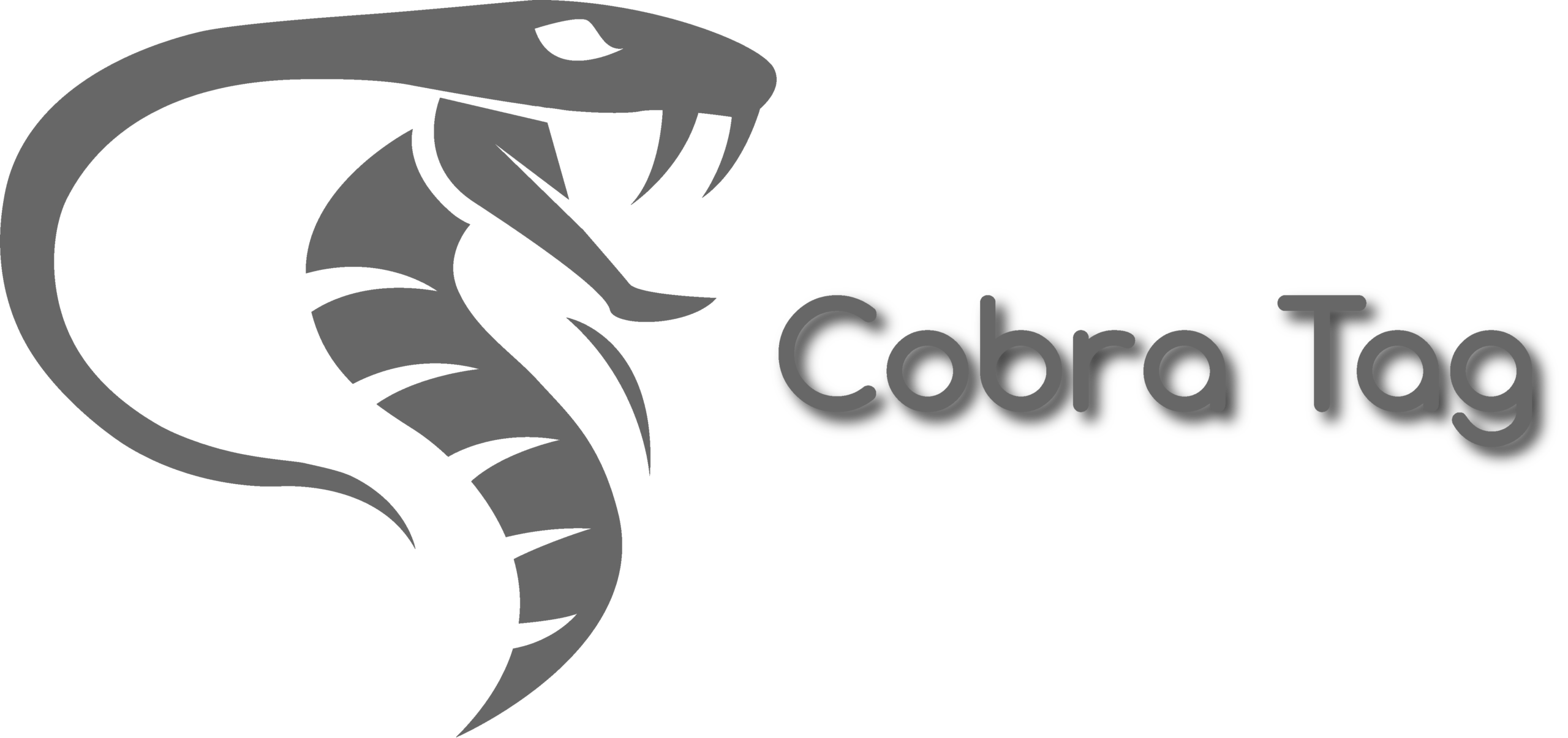 Cobra Tag - Artikelbeveiliging - Thoonsen Shop Technologie