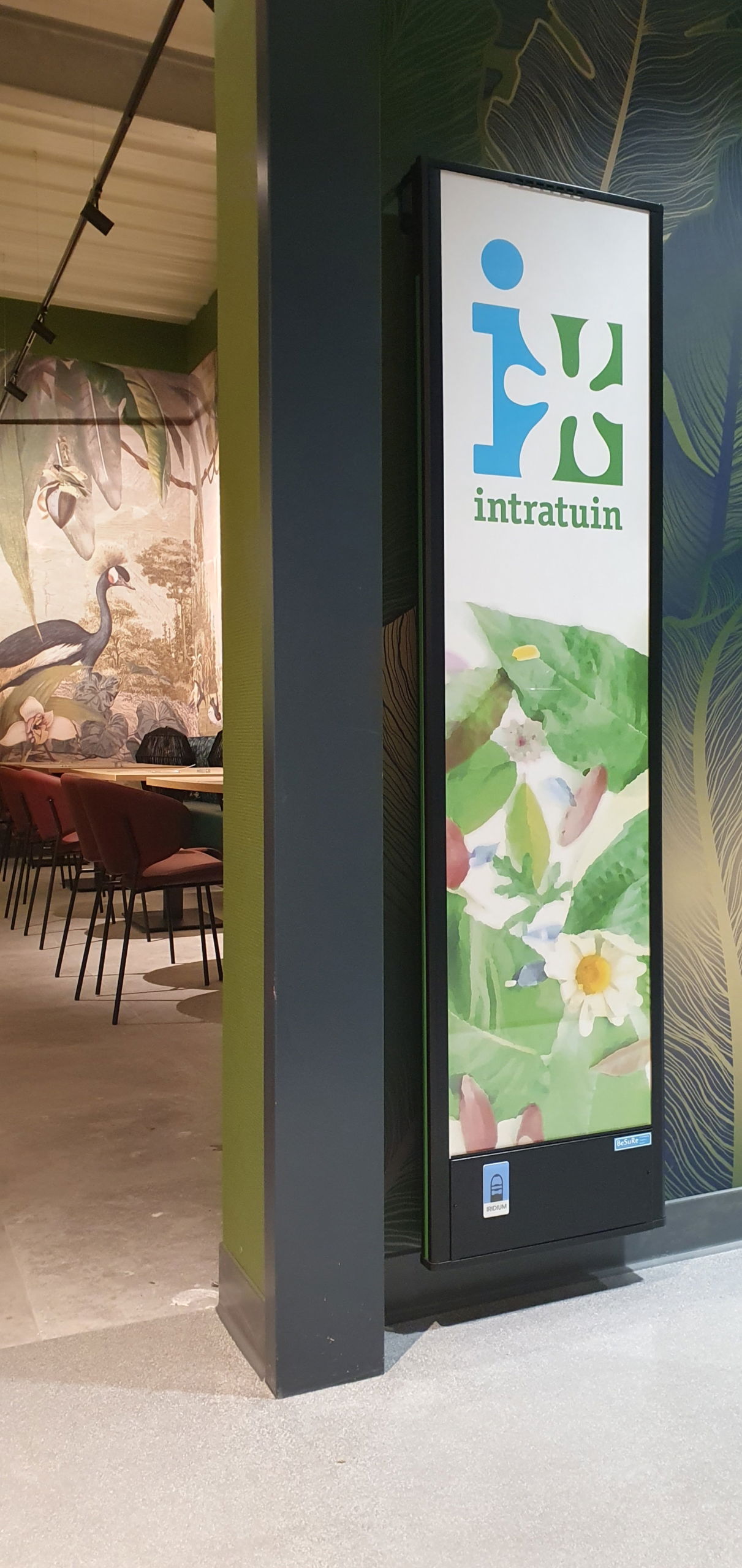 Intratuin Hulst - IRIDIUM OMEGA AM WiFi - Toiletten