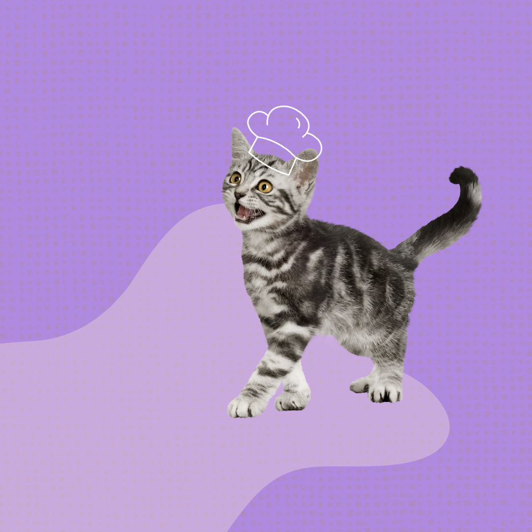 Biologisch kattenvoer Biologisch kattenvoer