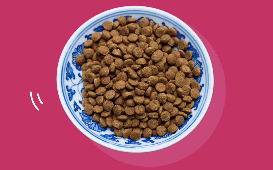 Tips voor het overstappen naar natuurlijke hondenbrokken: een geleidelijke aanpak