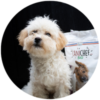 Canichef hondenvoer bio