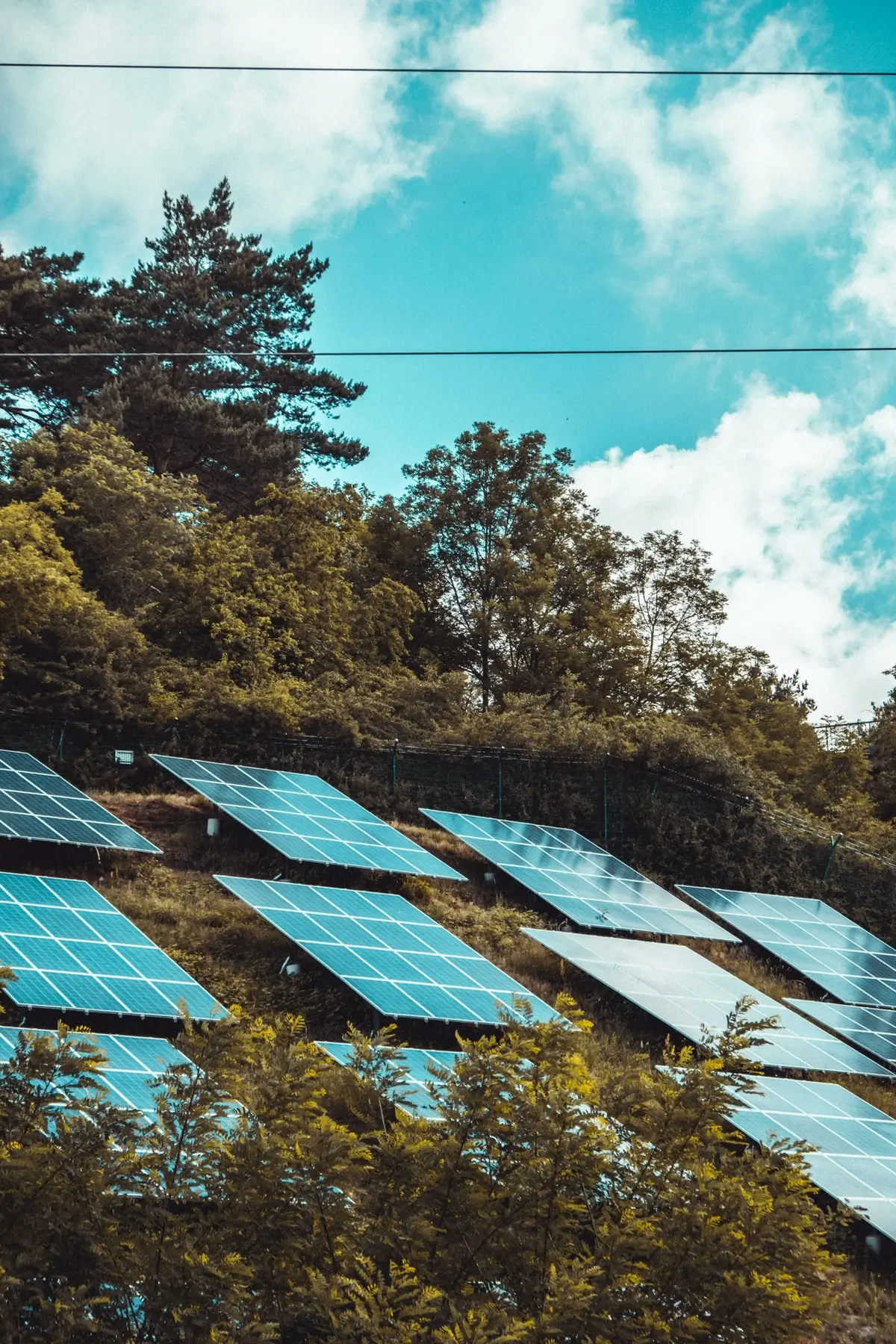 Zonnepanelen aan de rand van een bos