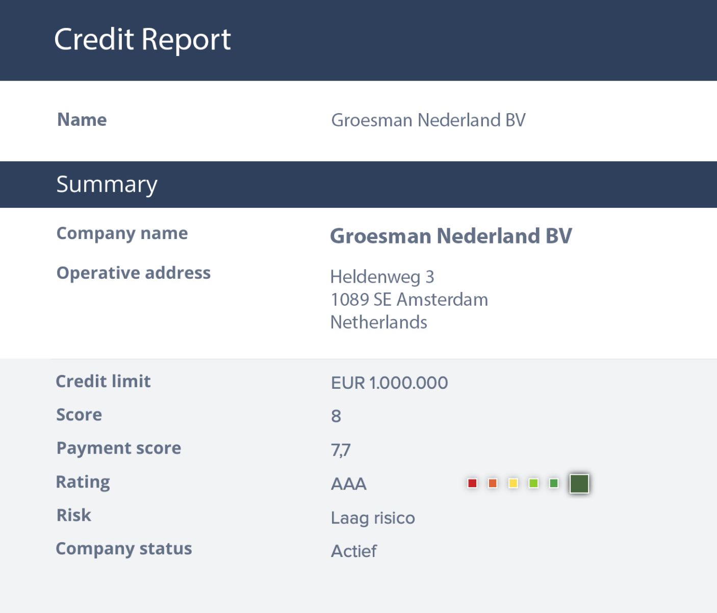 kredietrapport voorbeeld