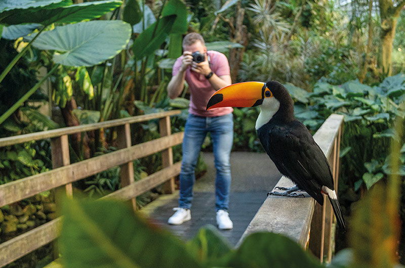 Pantropica in Luttelgeest