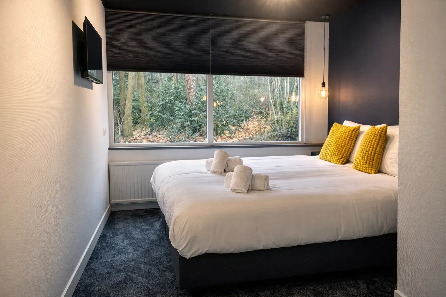 Kleinste tweepersoonskamer bij Fredeshiem met queensize bed, raam en boszicht