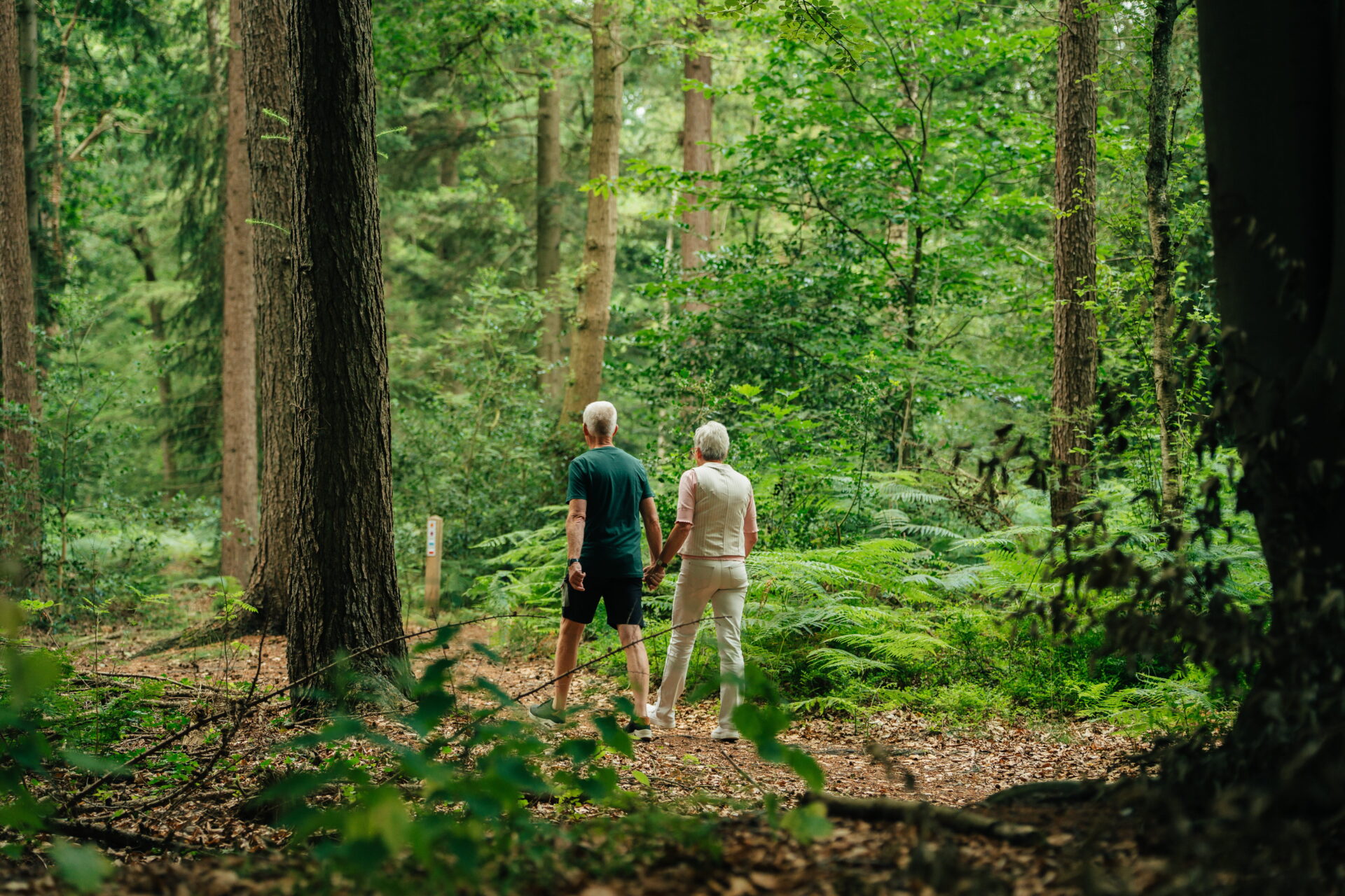 Wandelen in het bos bij Buitengoed Fredeshiem