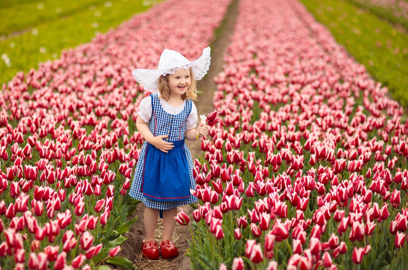 Kiezer minder links en duurzaam, even conservatief op immigratie