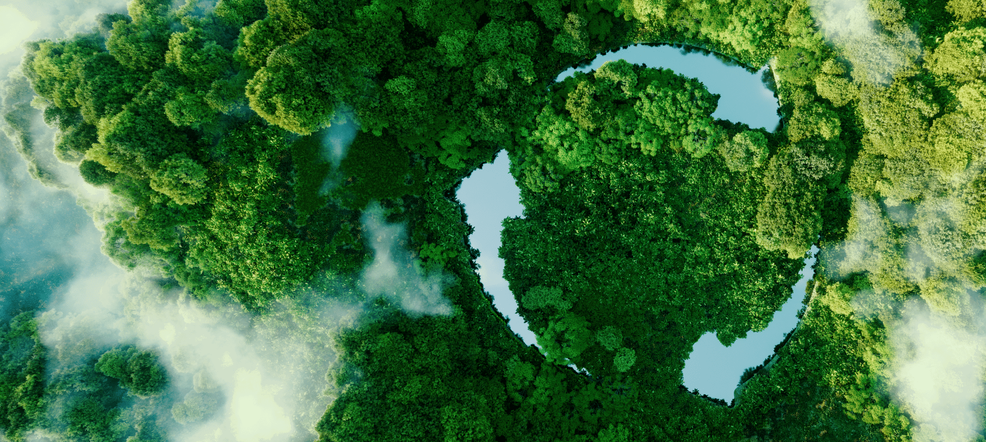 eco banner