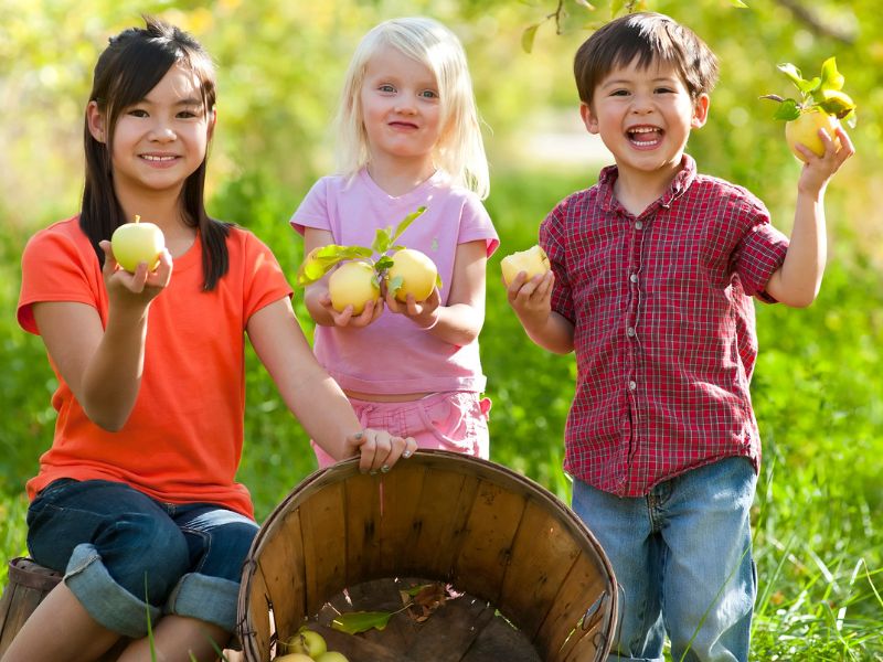 Gezonde alternatieven voor snacks tijdens het Kindervakantiewerk Appels plukken bij de lokale boer