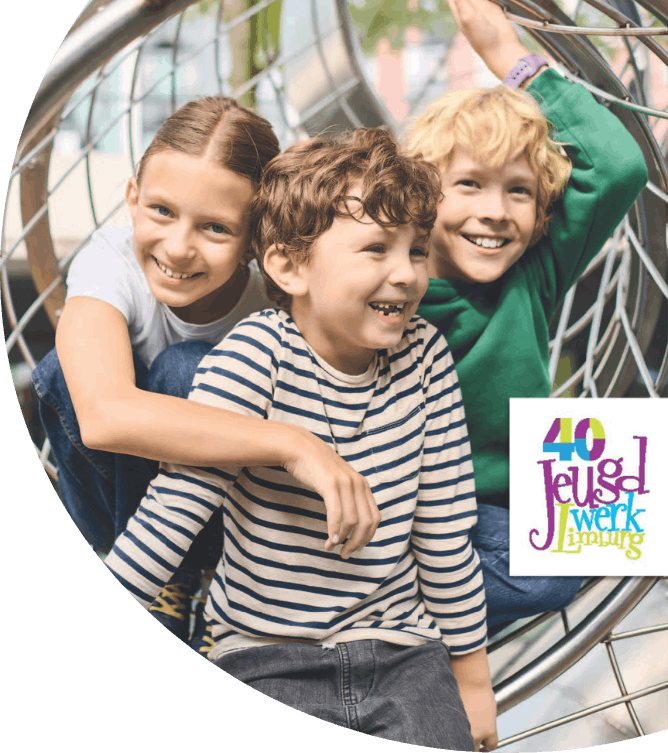 stichting jeugdwerk limburg voor vrijwilligersorganisaties