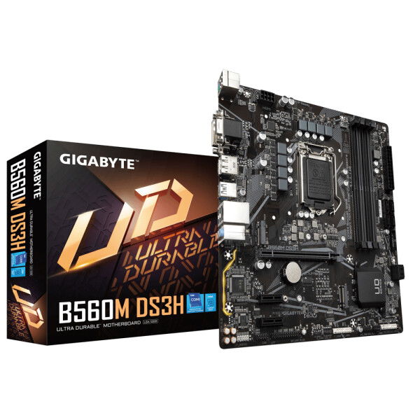 Gigabyte B560M DS3H LGA1200  Dealstunter