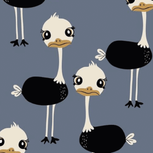 Tygdrommar Struisvogels