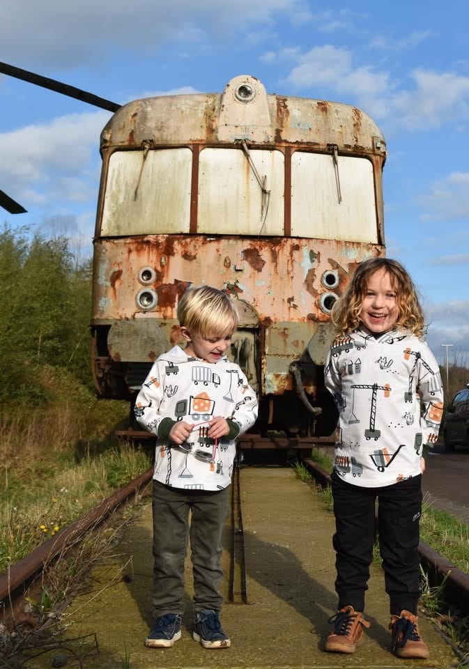 Kat in de bouw - Afbeelding 3