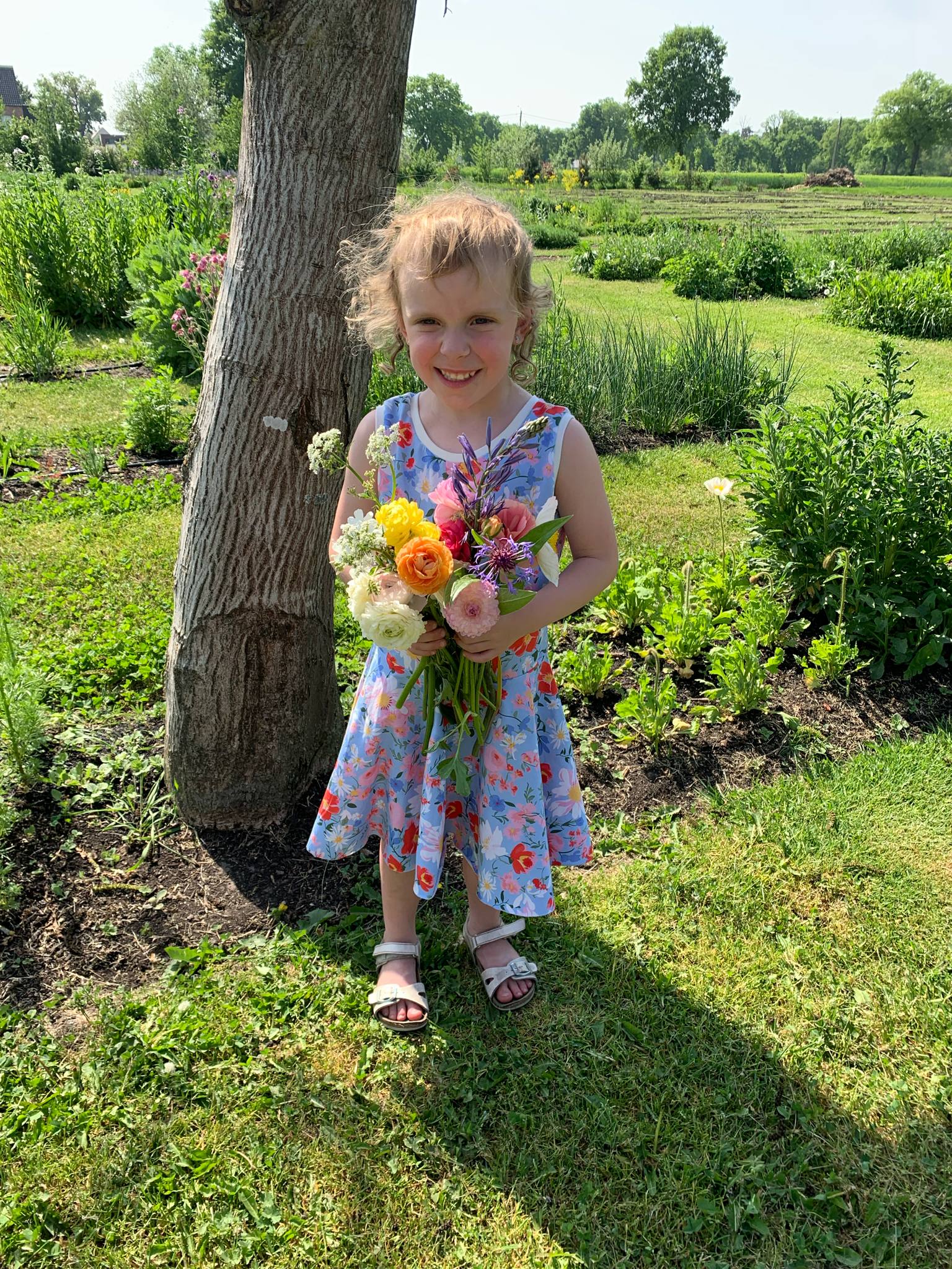 Bloemen #1 - Afbeelding 4