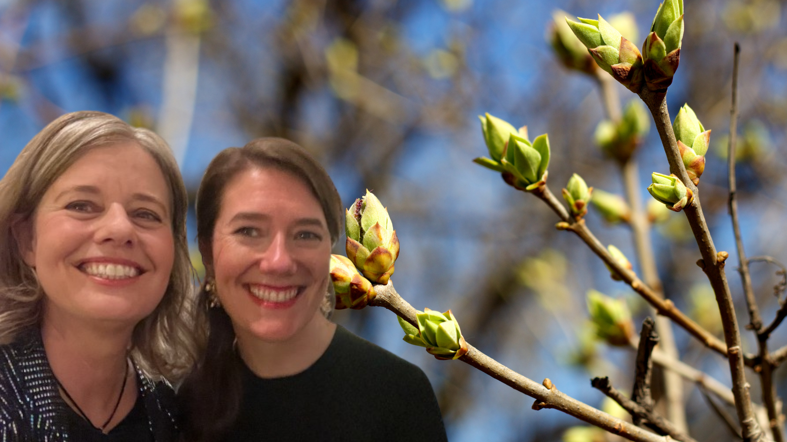 niets doen is ook leiderschap