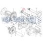 O-ring achteras Iseki TL1900F TL1901F TL2100F TL2101F TL2300F TL2301F TL2500F TL2501F TL2700F TL2701F TE4270 TE4350 Bolens G272 G274 oliekeerring rubberkeerring olieafdichting afdichtingsrubber achteraskeerring achterasoliekeerring achterbrugkeerring achterbrugoliekeerring steekaskeerring steekasoliekeerring trompetkeerring trompetoliekeerring steekasoring achterasoring