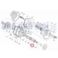 Keerring steekas Kubota Grandel GL19 GL21 GL23 GL25 GL27 GL220 L185 L235 L245 L1501 L1511 L1801 L1802 L2002 L2201 L2202 L2350 L2402 L2500 L2501 L2550 L2800 L3200 L3400 L3700 L3800 Zen-noh ZL185 ZL235 ZL245 ZL1501 ZL1511 ZL1801 ZL1802 ZL2002 ZL2201 ZL2202 ZL2402 ZL2501 52x85x16 mm zennoh oliekeerring rubberkeerring olieafdichting afdichtingsrubber achteraskeerring achterasoliekeerring achterbrugkeerring achterbrugoliekeerring steekaskeerring steekasoliekeerring trompetkeerring trompetoliekeerring cassettekeerring NOKAQ7747B