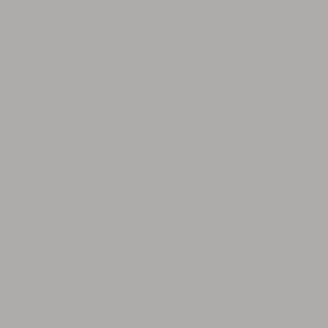 Grondverf / primer grijs spuitbus Extra info: 400ml spuitbus Grijs Zeer goede kwaliteit Grote temperatuur bestendigheid Korte droogtijd Afbeeldingen slechts ter indicatie!