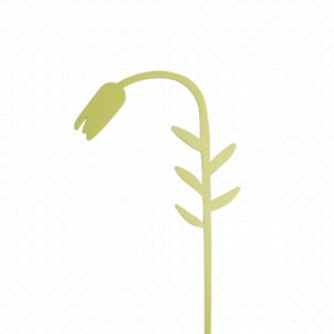 Tulp licht groene houten bloem voor tulpen liefhebbers - bloemen die niet verwelken - duurzame bloemen